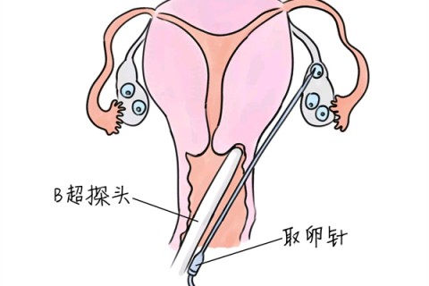 http://huochezhan.net/post/205.html|武汉供卵助孕