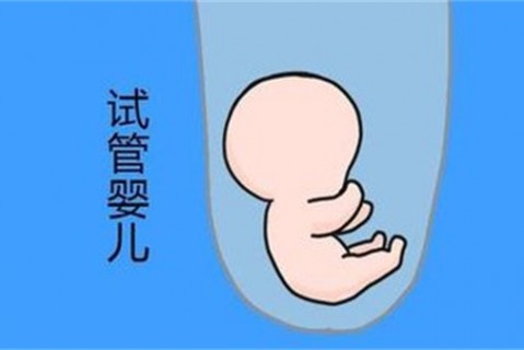 培养武汉捐卵宝宝艺术细胞的小技巧